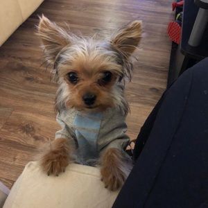 Meet your Posher, Marcela